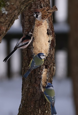 Snímek obrazovky 2026-02-19 144704